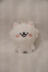 ✨現貨-原皮一葉