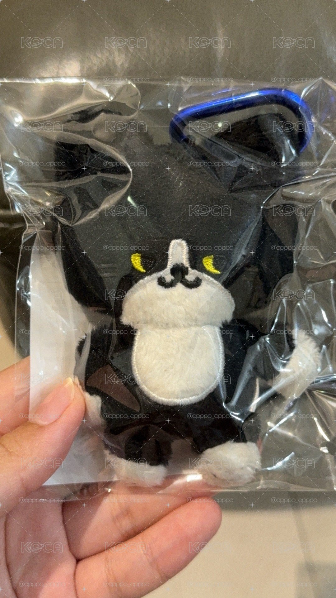 日週動物娃雲喵