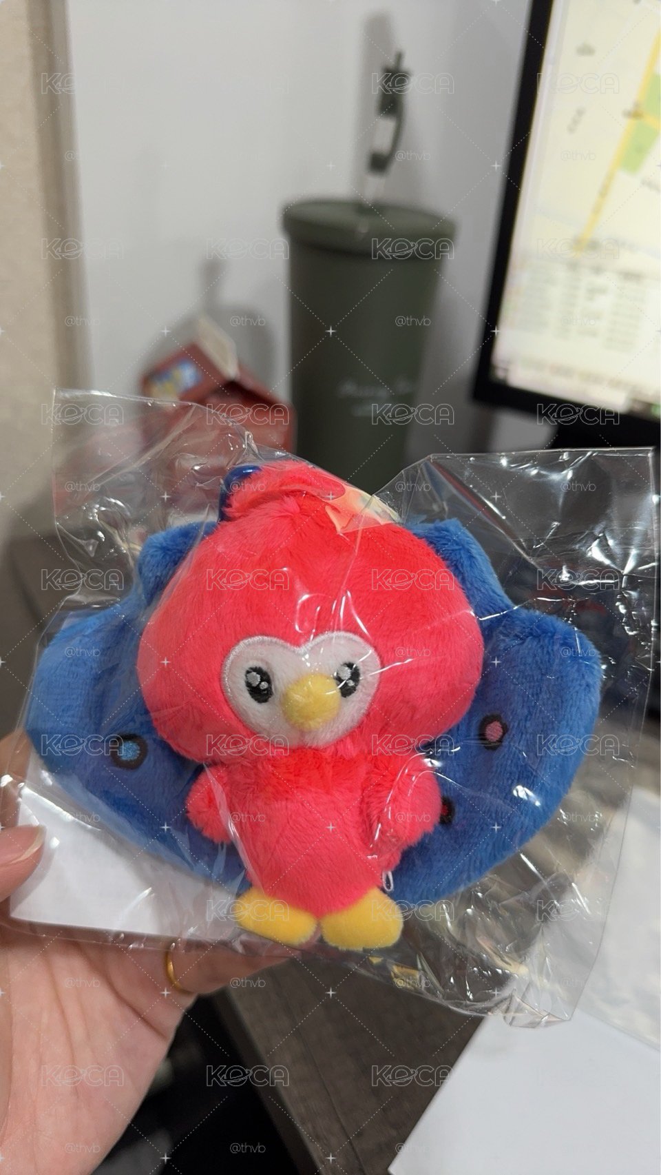 SS10 希澈孔雀娃 日周 全新