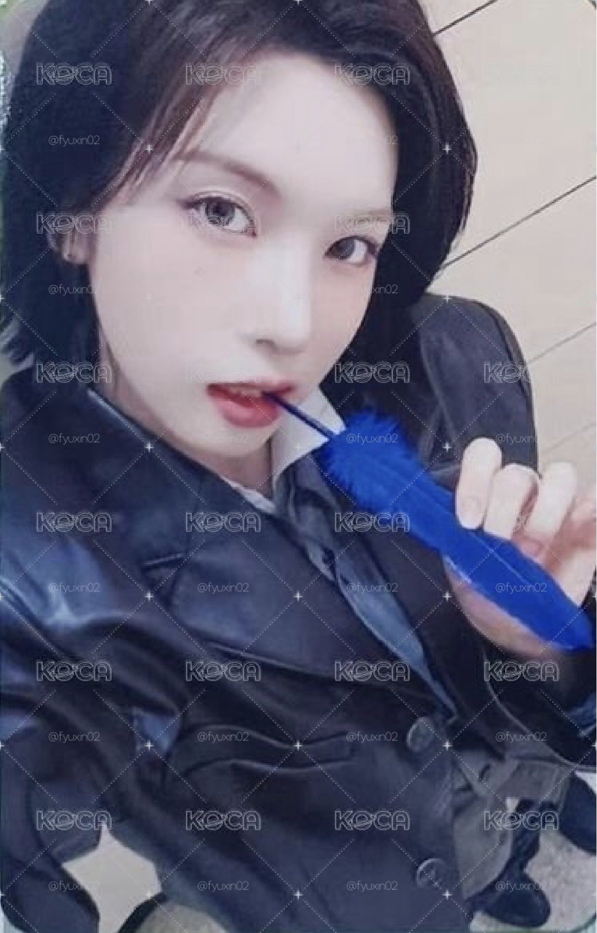 藍羽毛裴