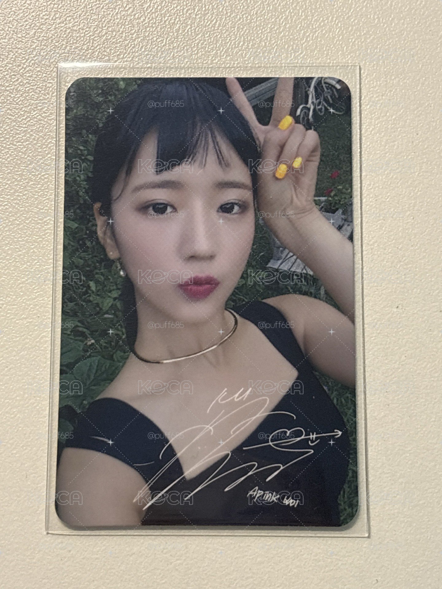 普美 專輯卡
