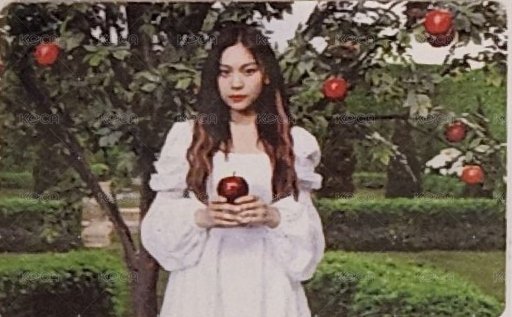 [回:SONG OF THE SIRENS] Broken Room ver. 預購禮 UMJI