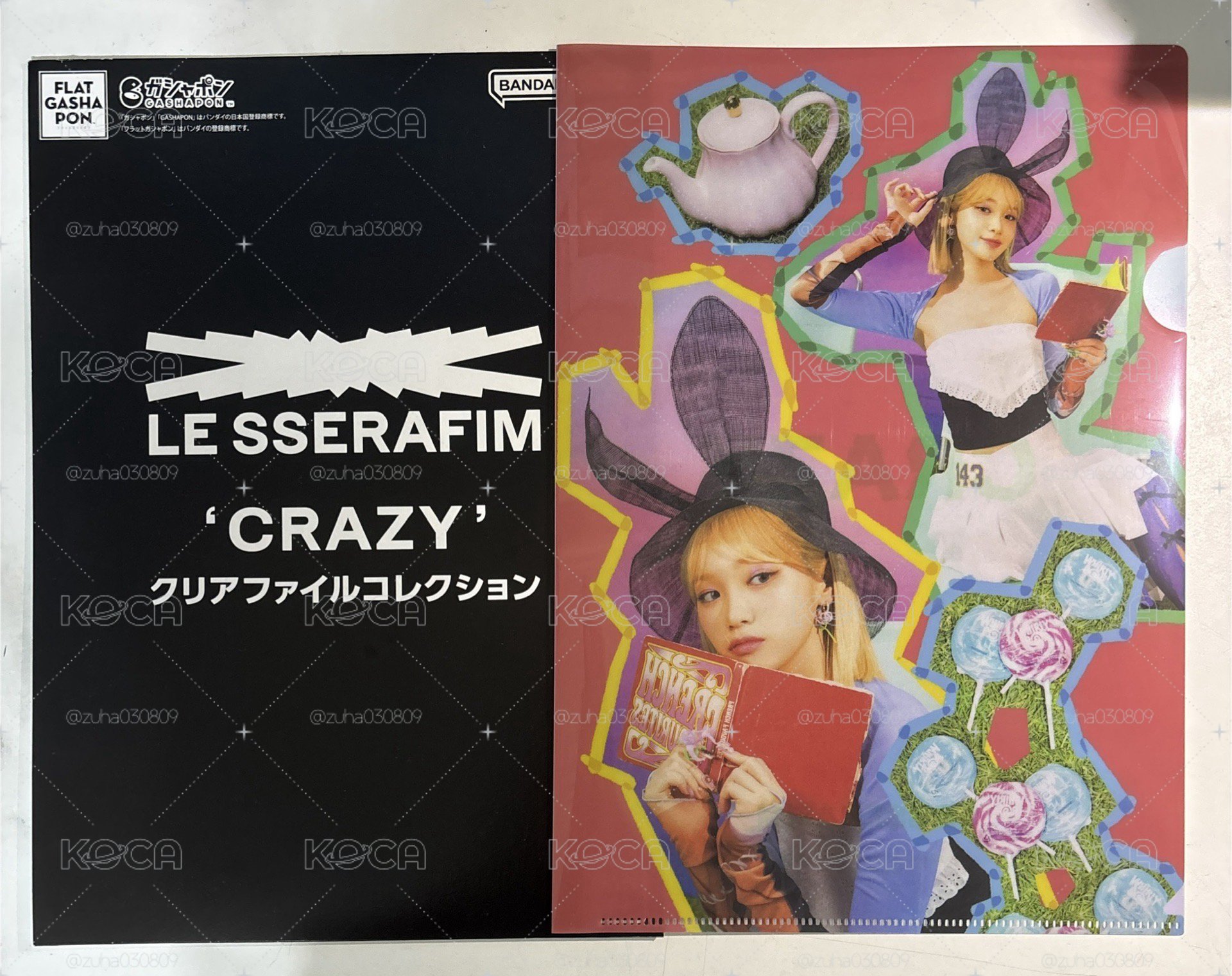 采源CRAZY資料夾