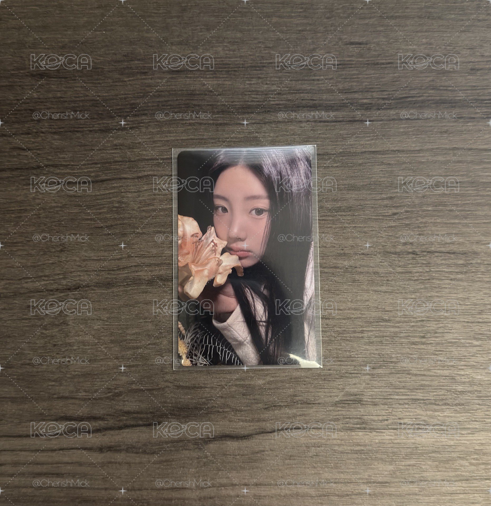 迷一 NAVER直播卡
