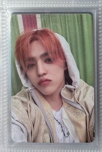 迷12含專