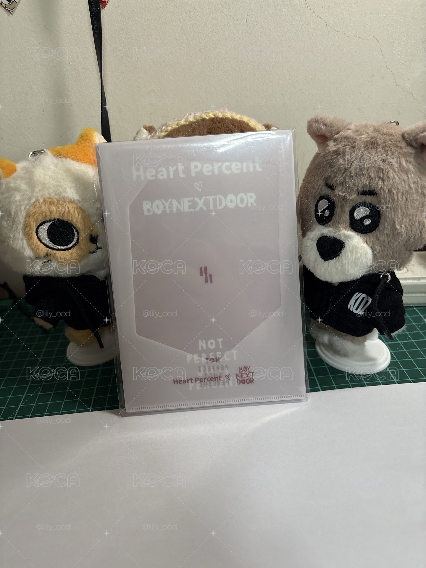 Heart Percent 滿額明信片整組含資料夾