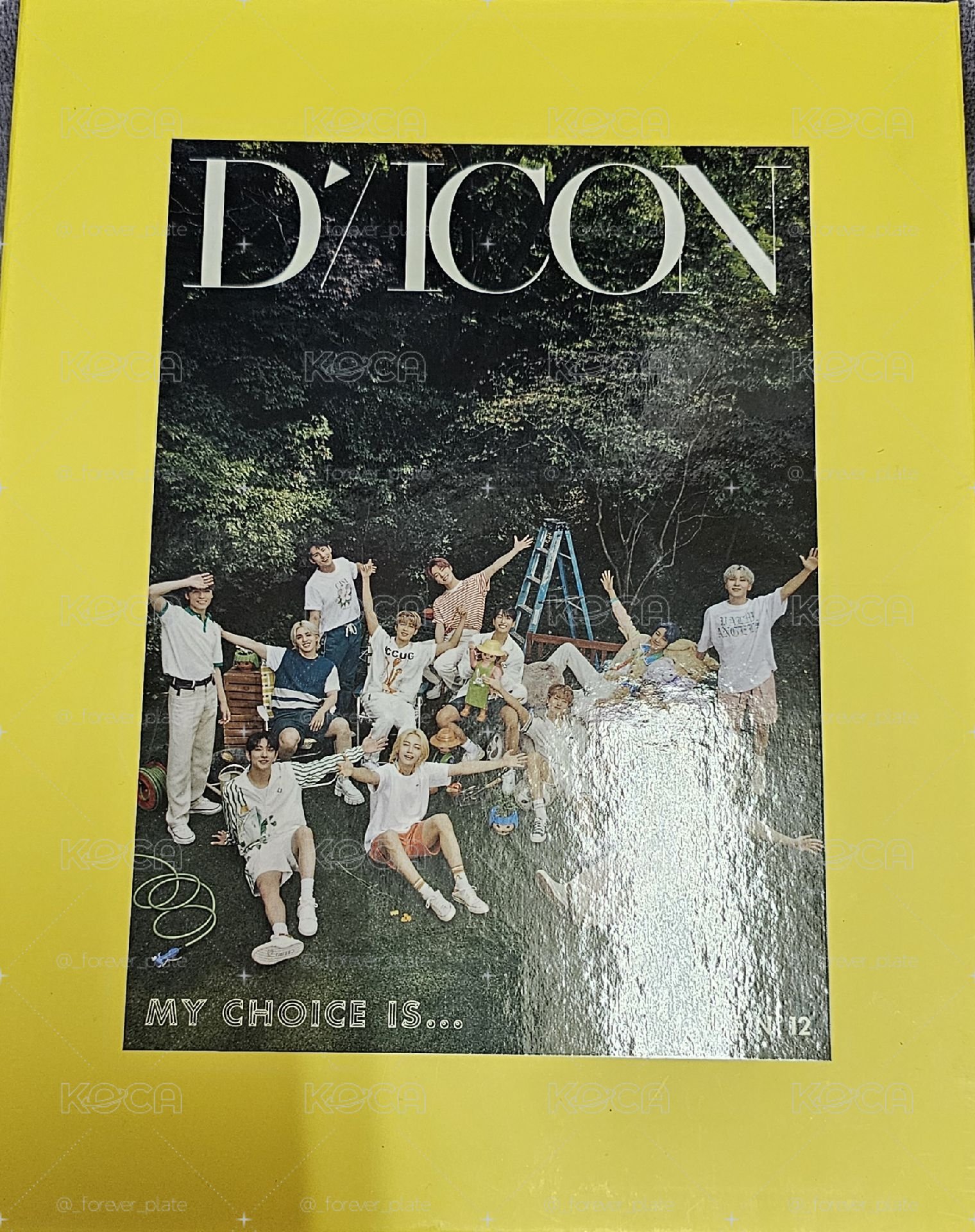 Dicon團封