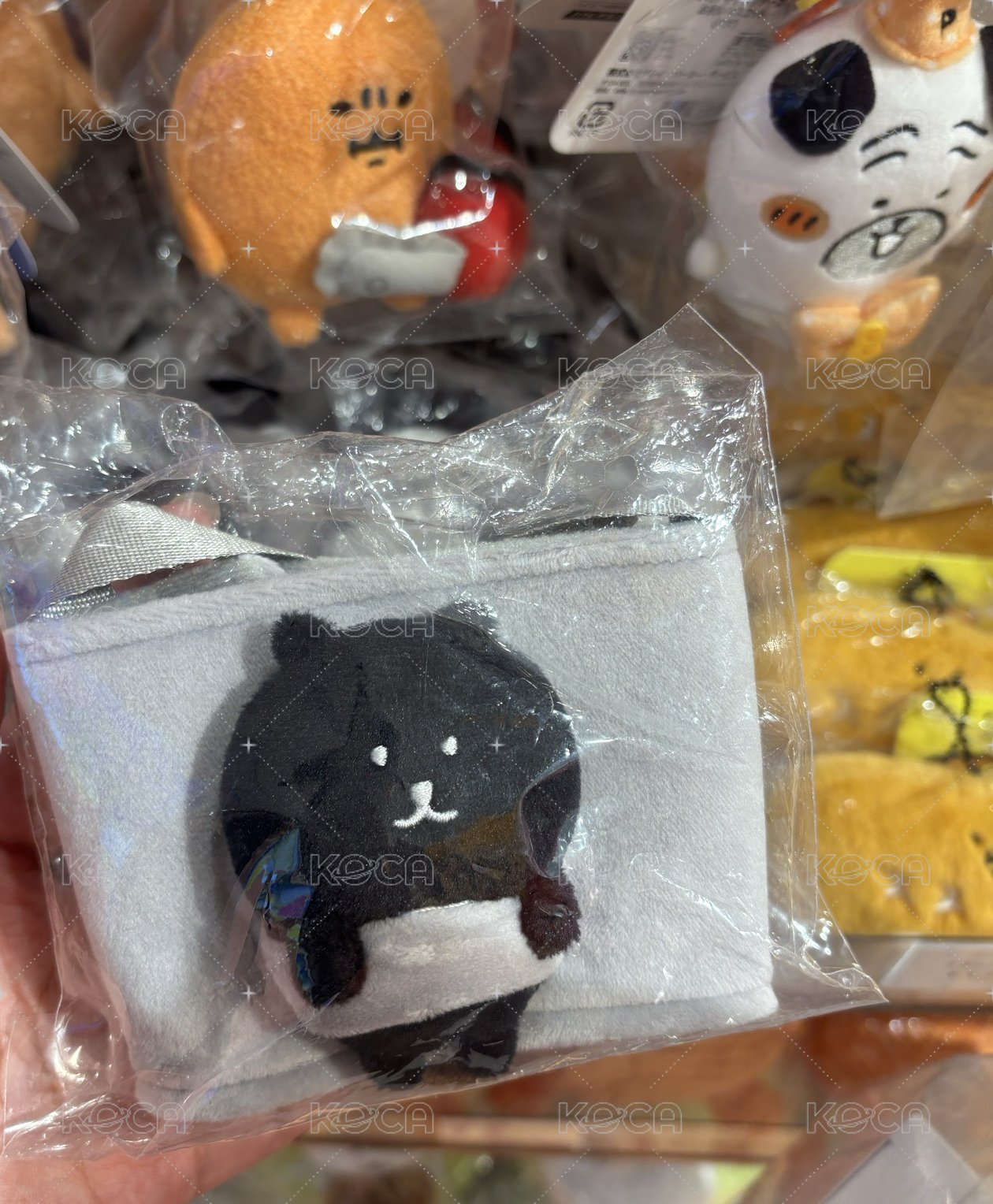 黑熊