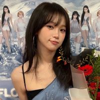 金嘟嘟的狗
