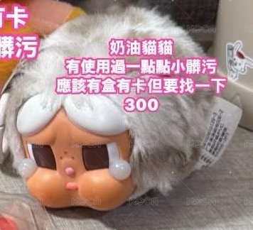 奶油貓貓二手