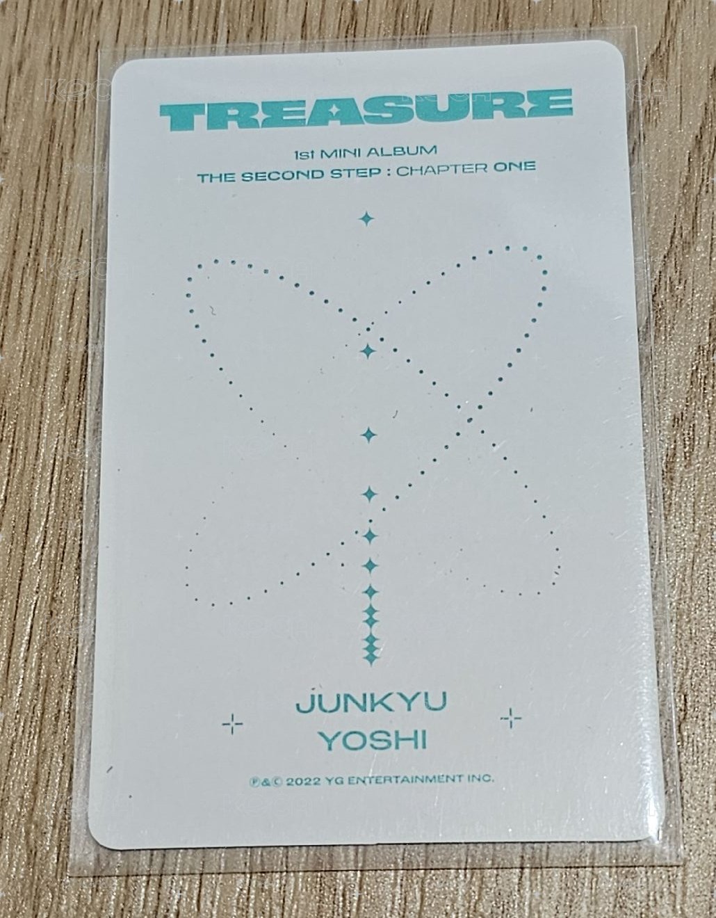 TREASURE THE FIRST STEP:CHAPTER ONE🐨🐯