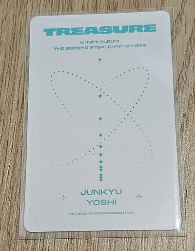 TREASURE THE FIRST STEP:CHAPTER ONE🐨🐯