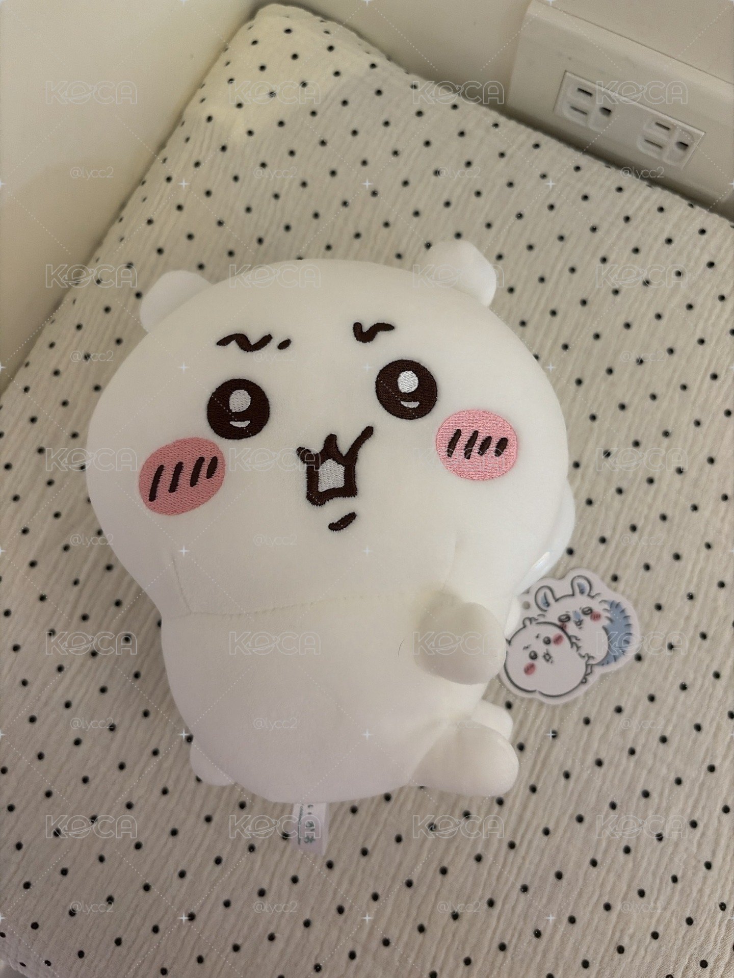 吉伊對抱景品