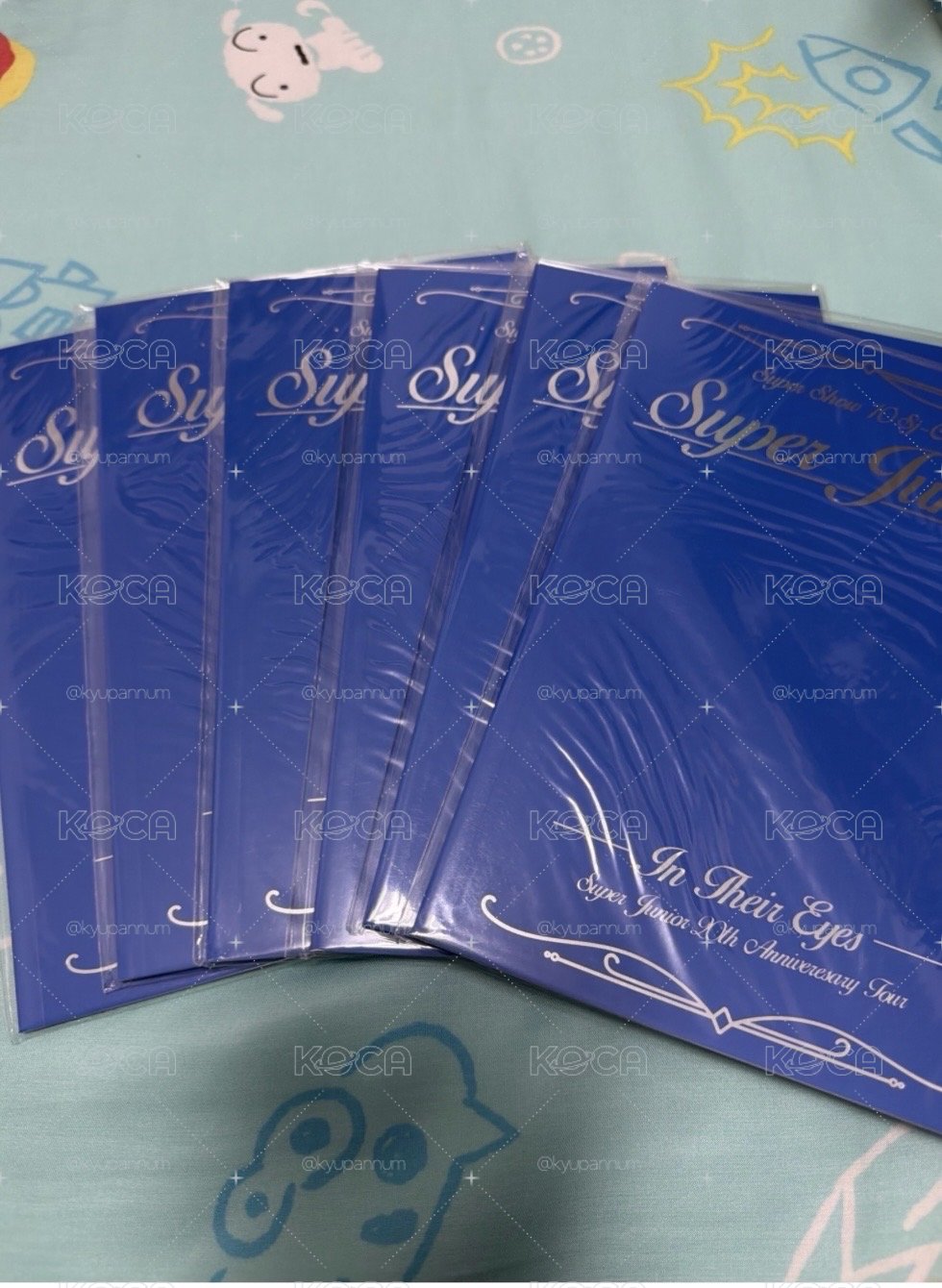 韓國安口週邊小冊子（含卡）