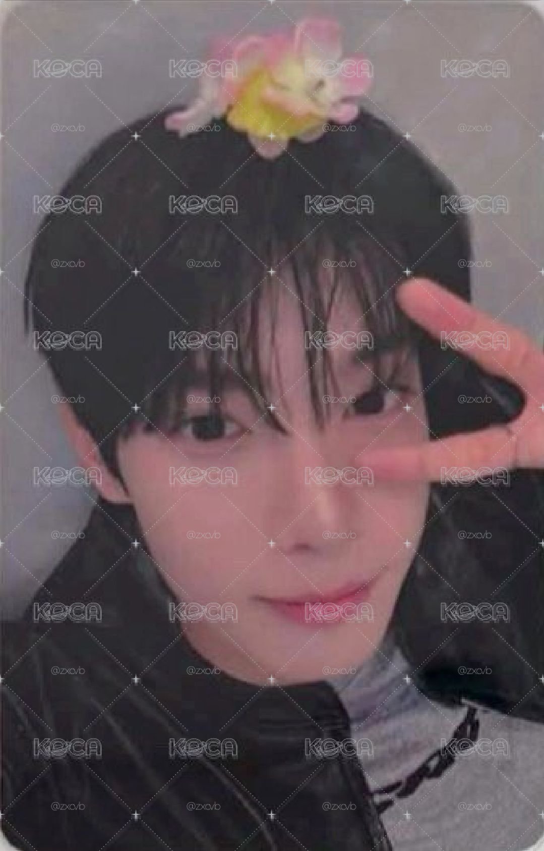 崔立于 Hello82特典小卡