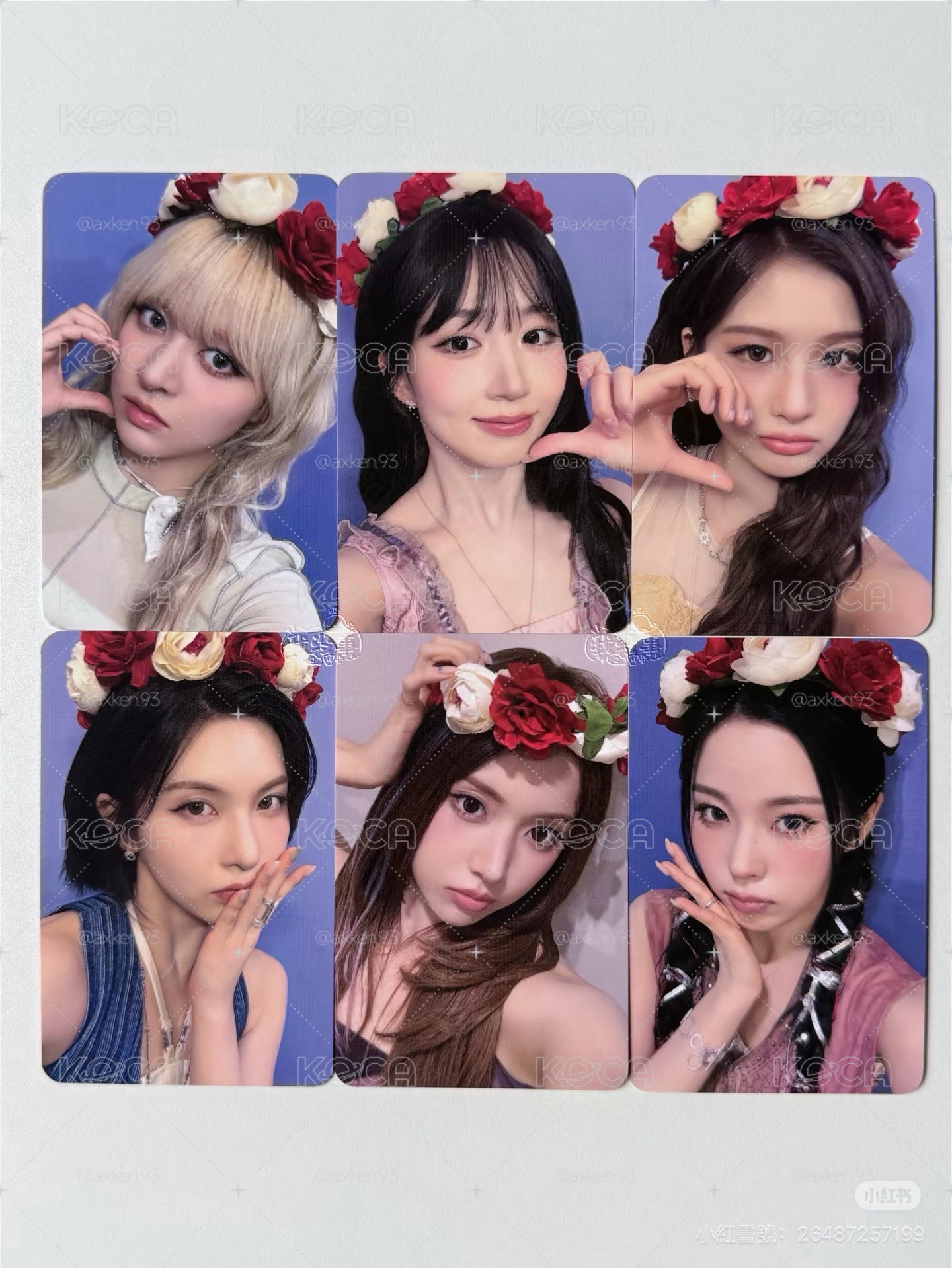 🪼小夜曲 ms1.0 線上玫瑰熊+線下玫瑰花環