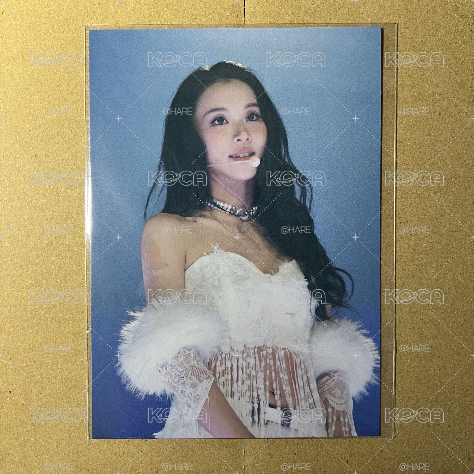 高雄場VIP明信片 彩瑛