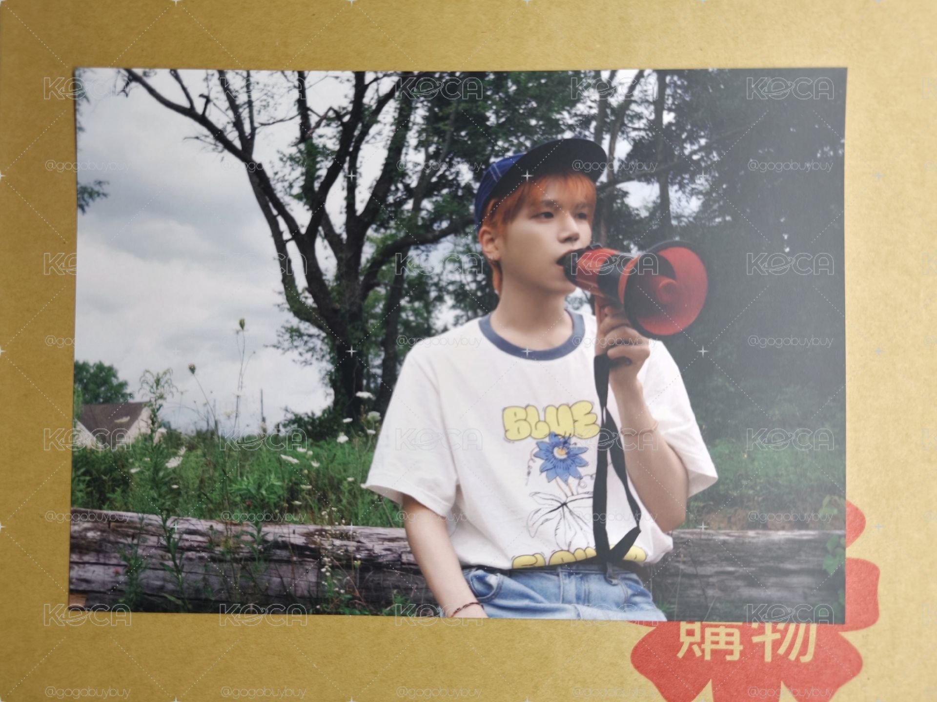 sw 特典 大明信片（大概A4或B5大小）