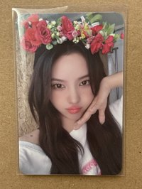ms 15.0 花圈