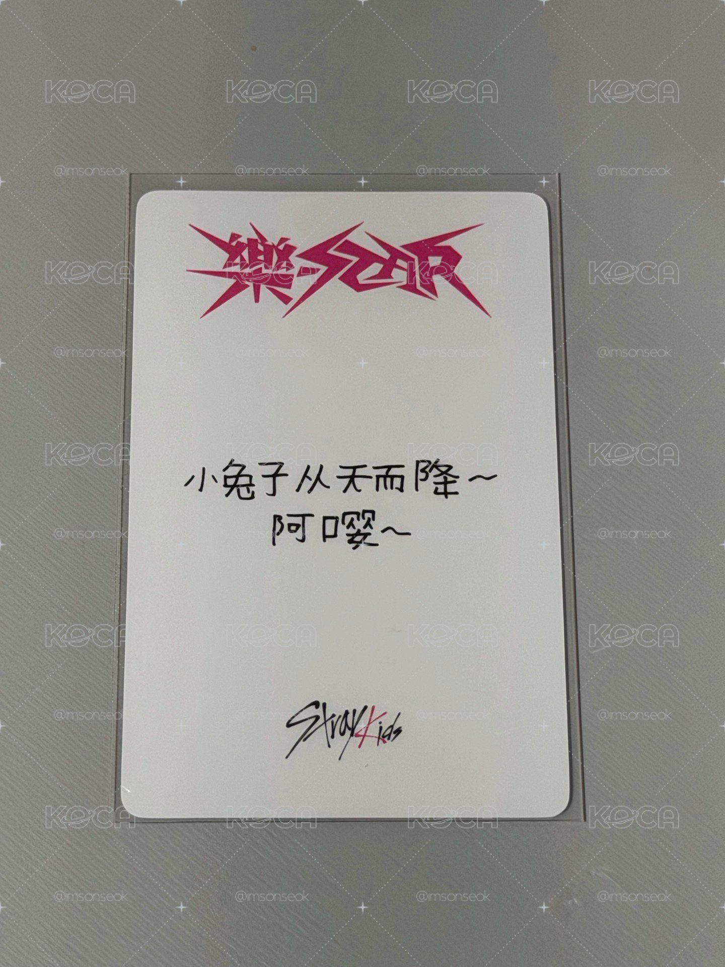 旻中背 小兔子