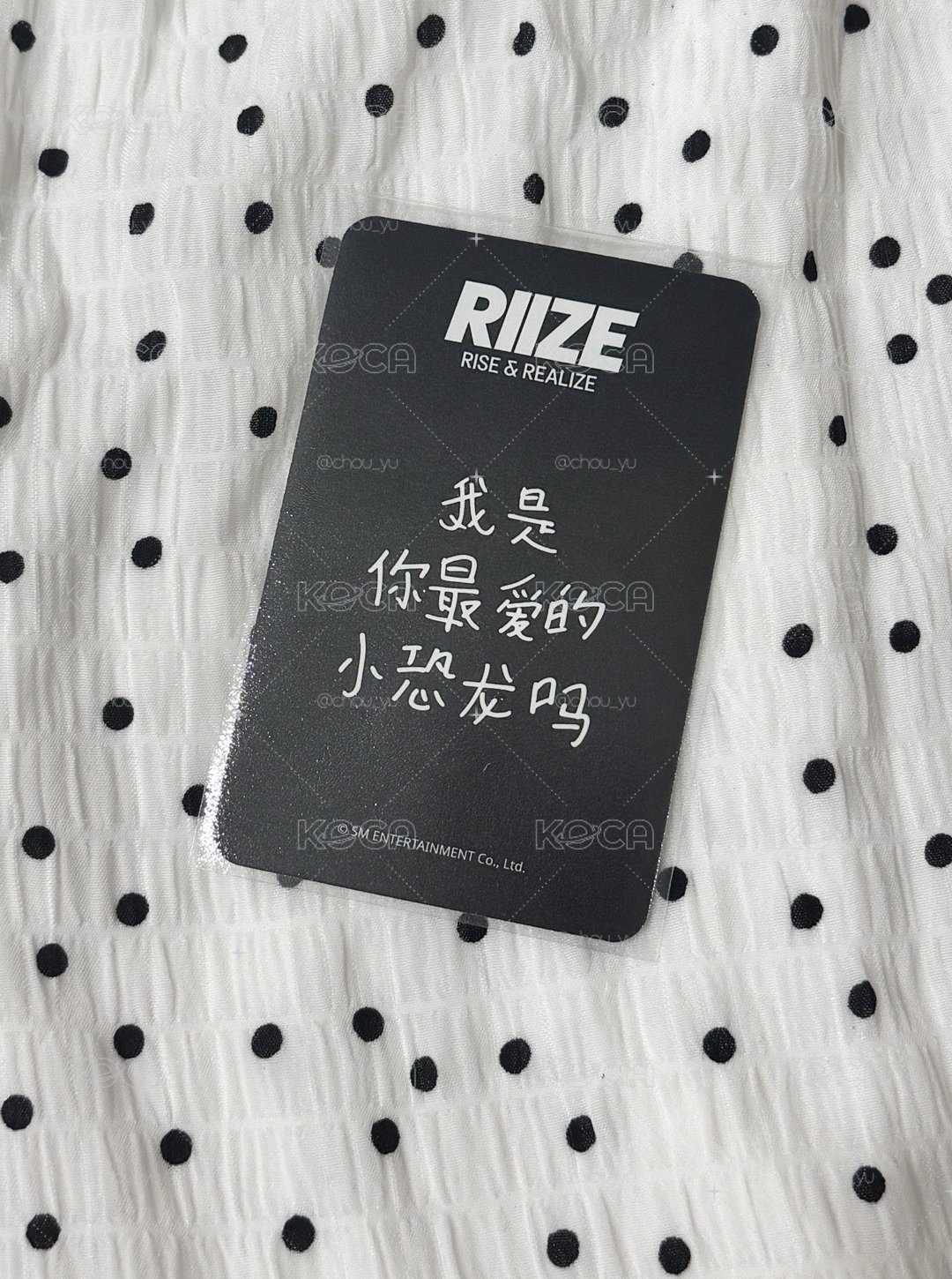 我是你最愛的小恐龍嗎🥺🦕