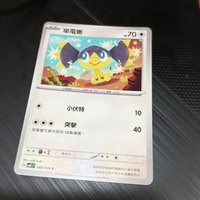 傘電蜥