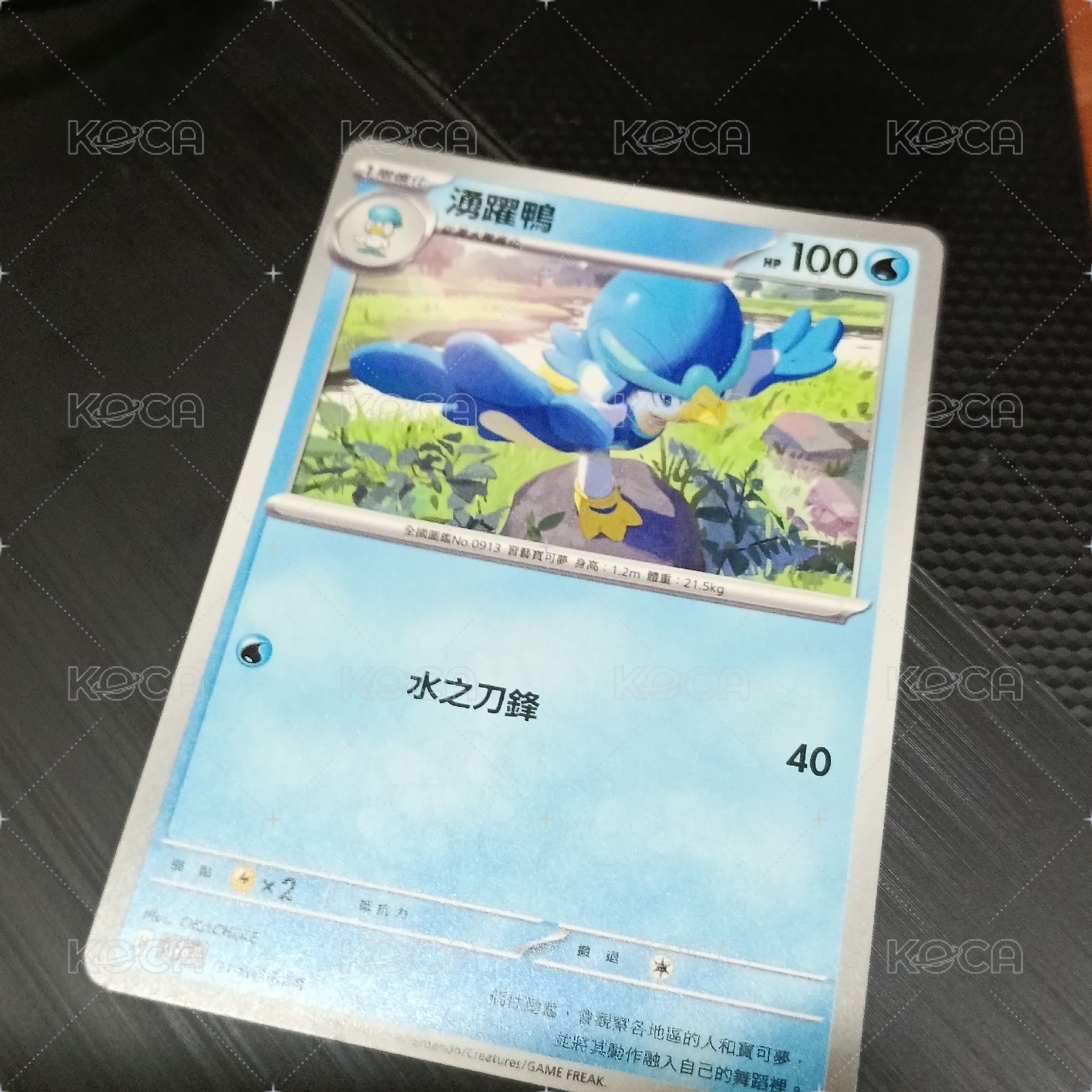 湧躍鴨