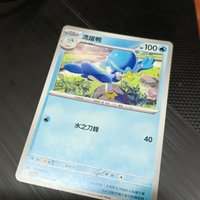 湧躍鴨