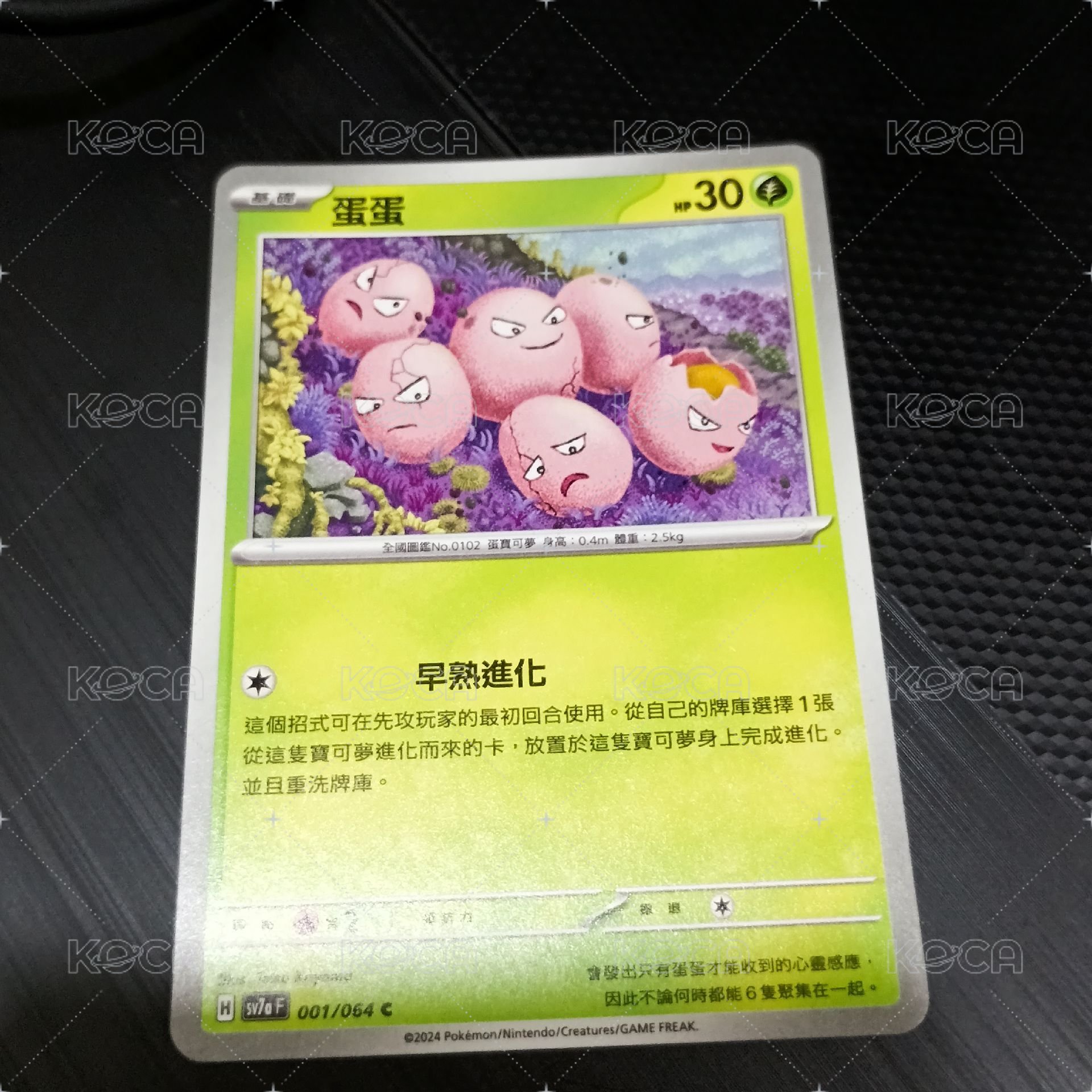 蛋蛋