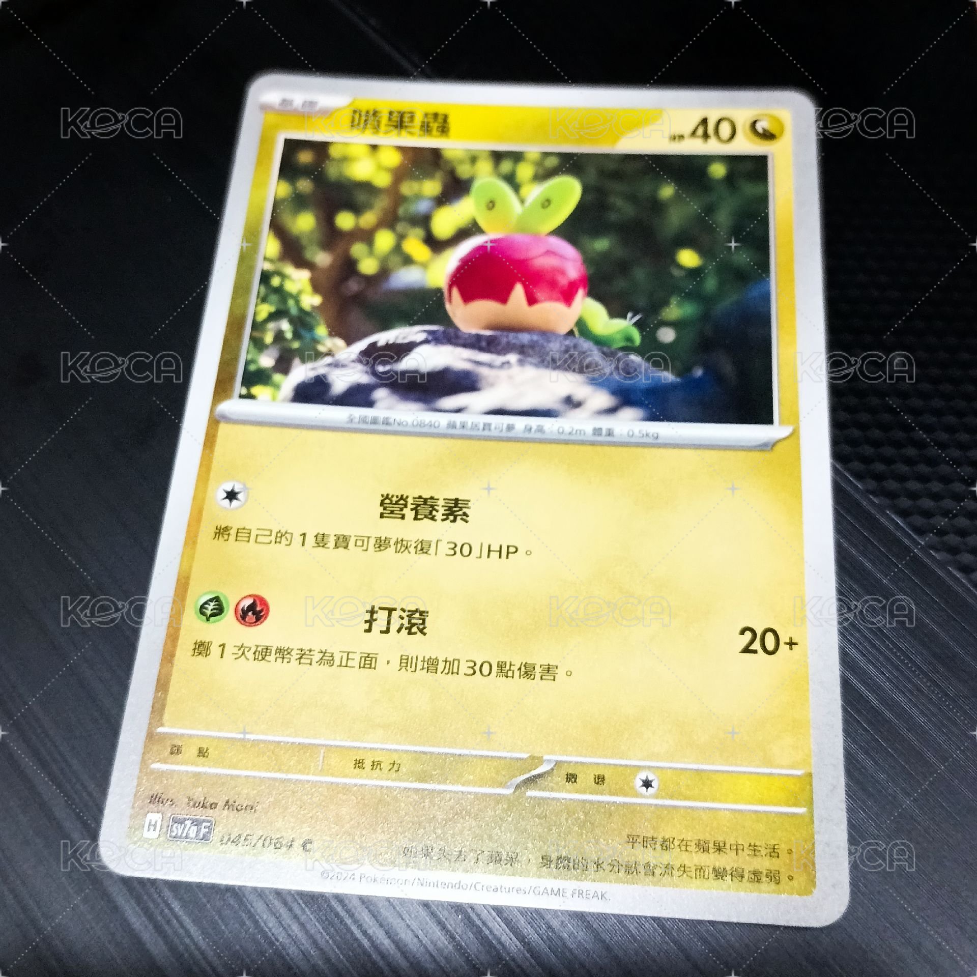 啃果蟲