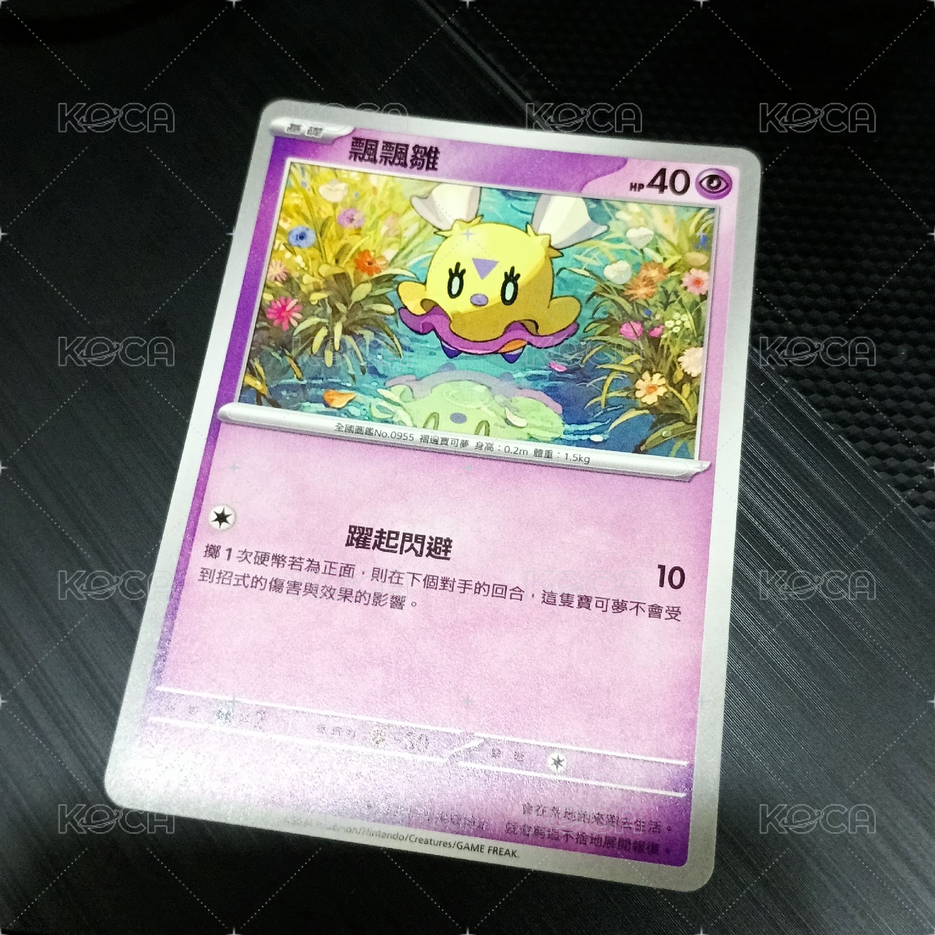 飄飄雛