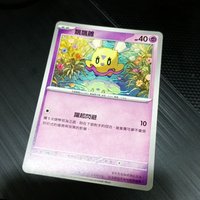 飄飄雛