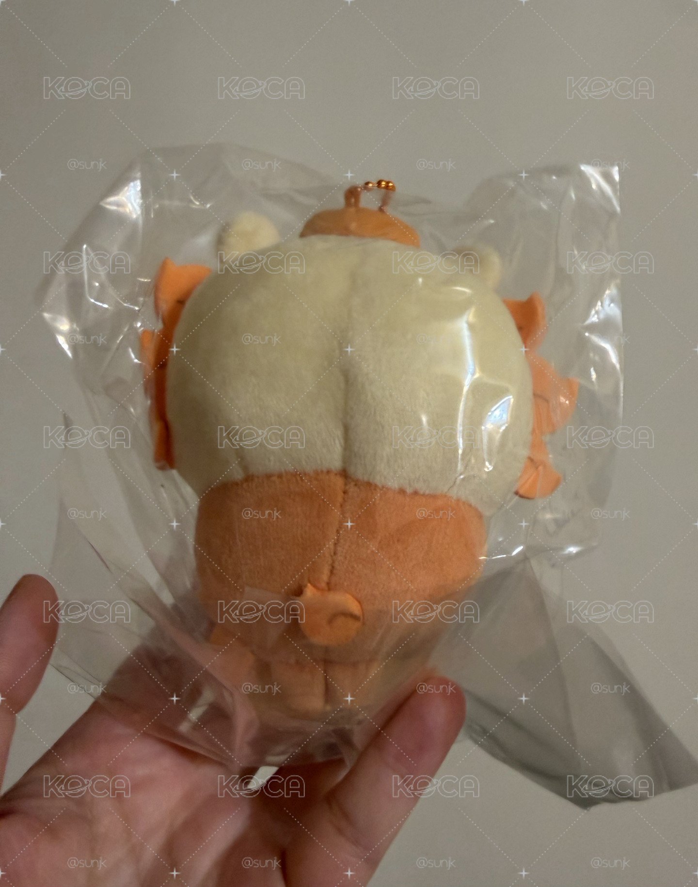 吉伊卡哇 快遞員獅薩