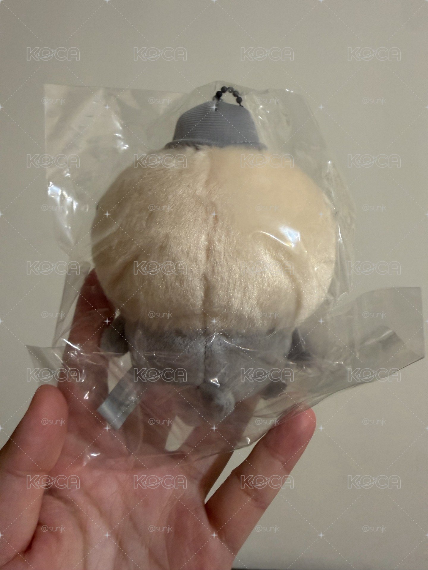 吉伊卡哇 快遞員師傅 水獺