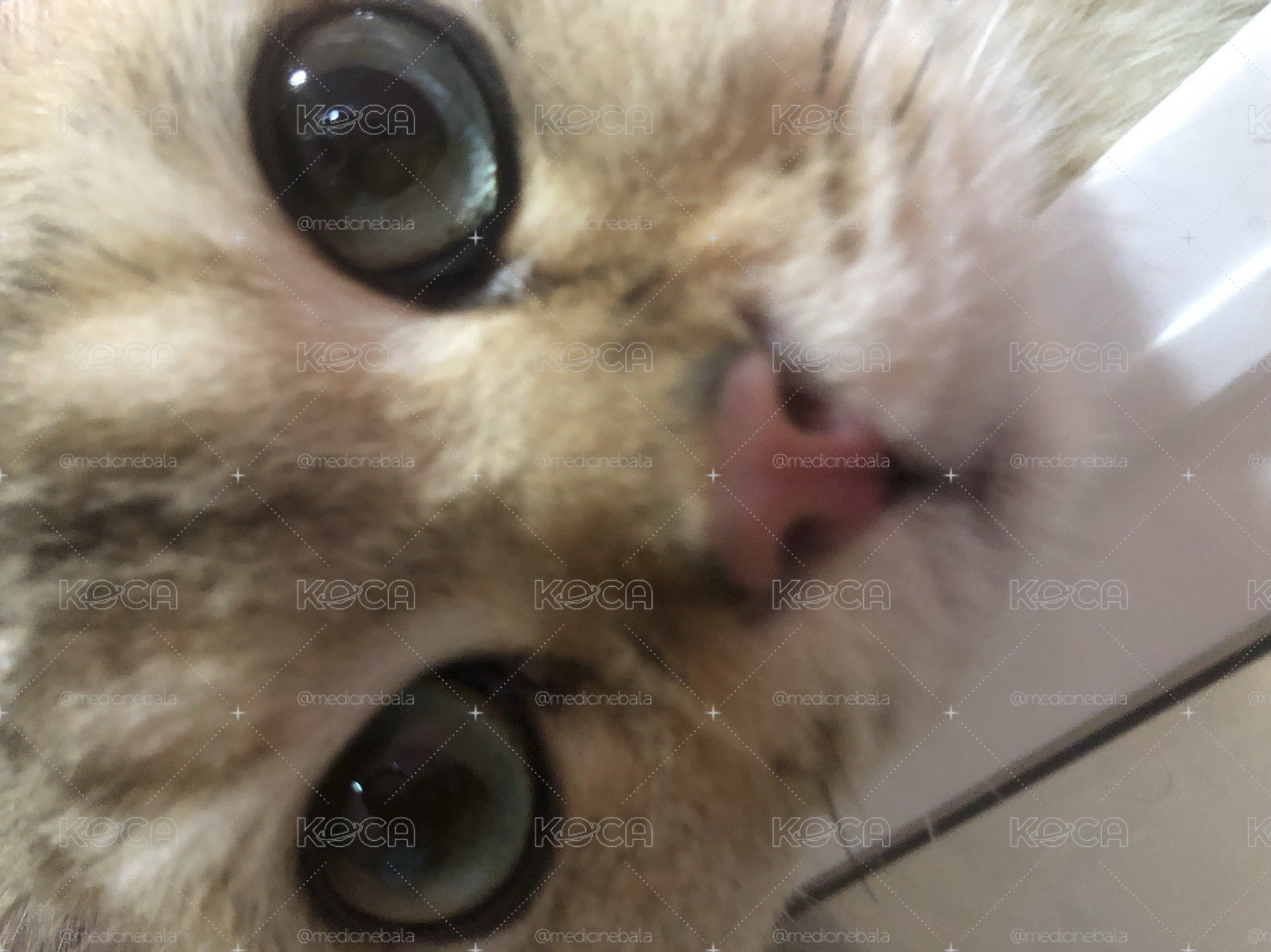 包材