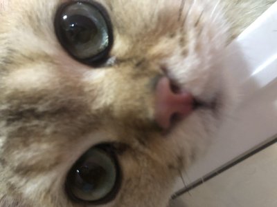 包材