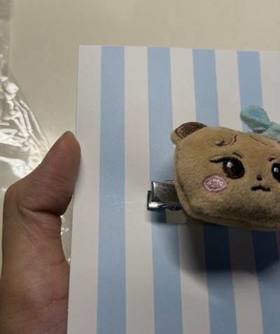 妮髮夾🐻