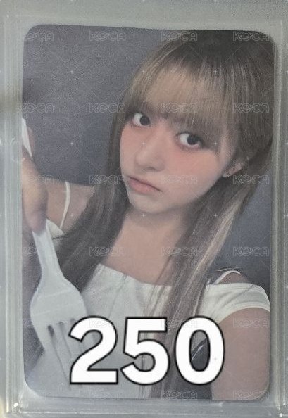 禮儀莉