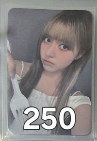 禮儀莉