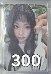 禮儀圭