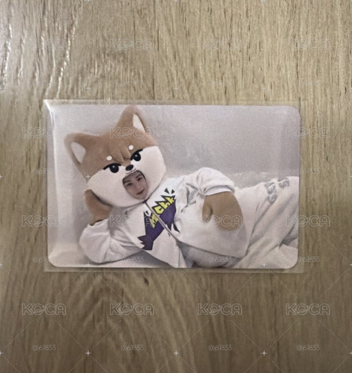 nexzoo🐾
