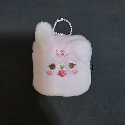 24年聖誕控方塊酥🐰(無證件照)