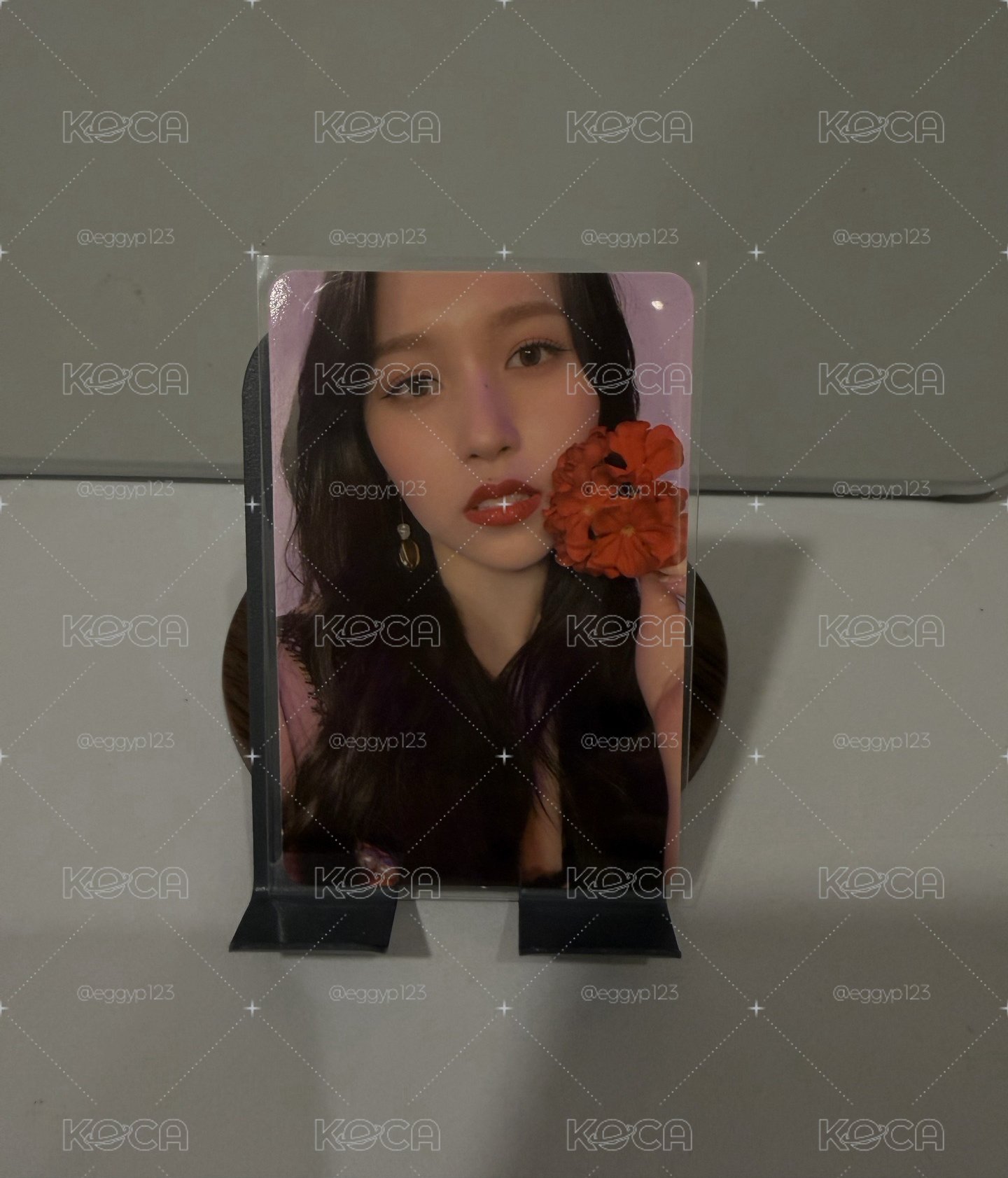 花朵咪