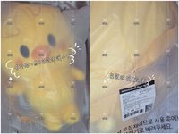 後背包