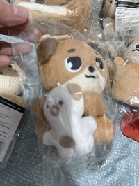 抱娃