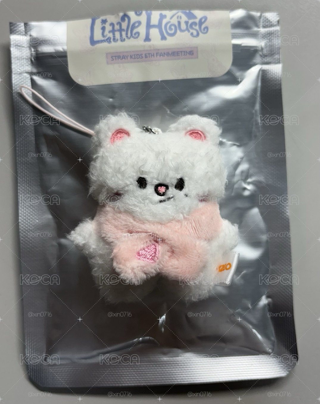 原皮辰
