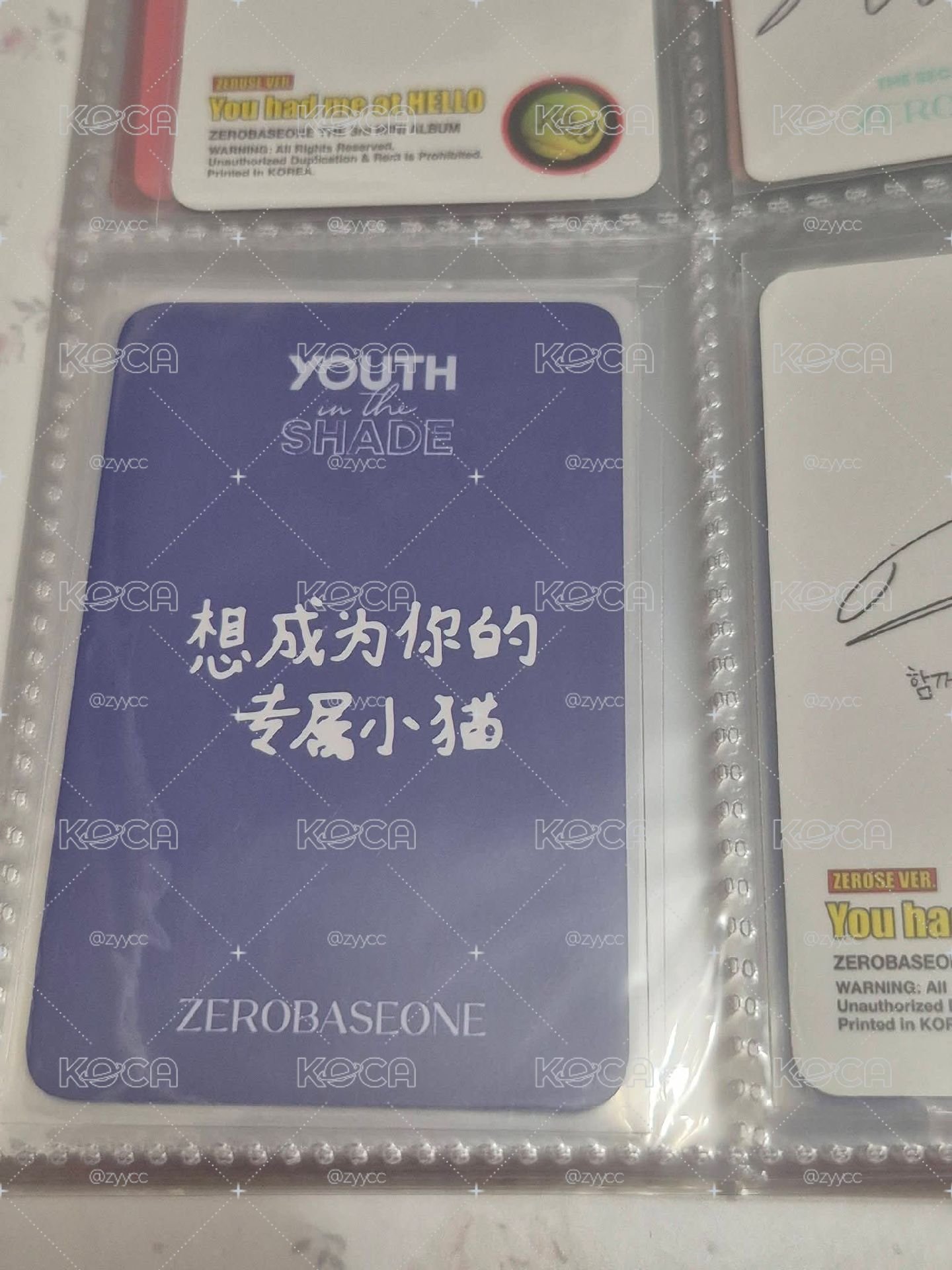 k4想成為你專屬的小貓