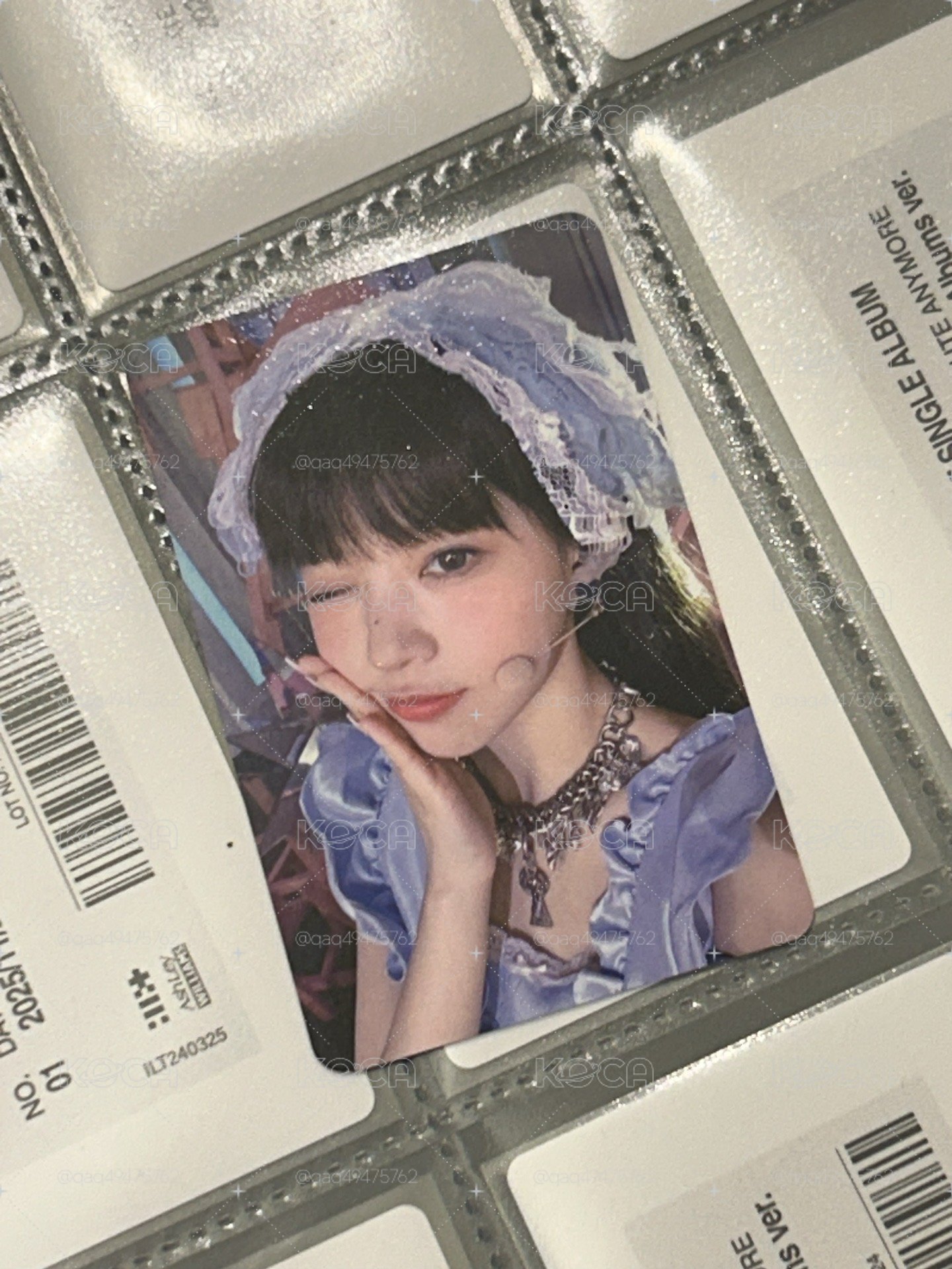 M2 藍莓小蛋糕萌