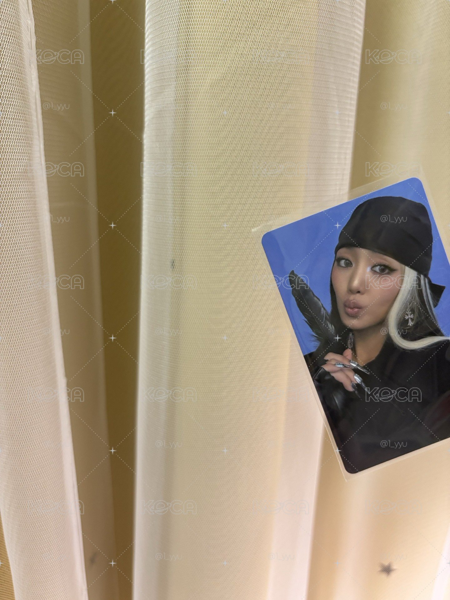專卡妮