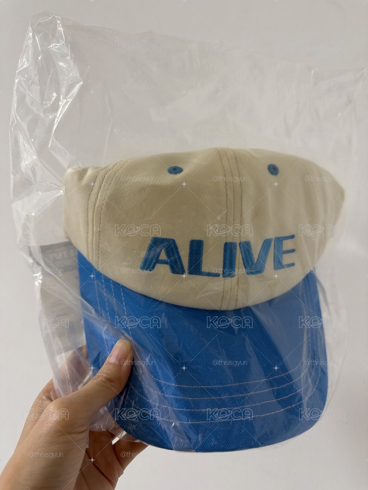 alive 韓場 帽子（全新）